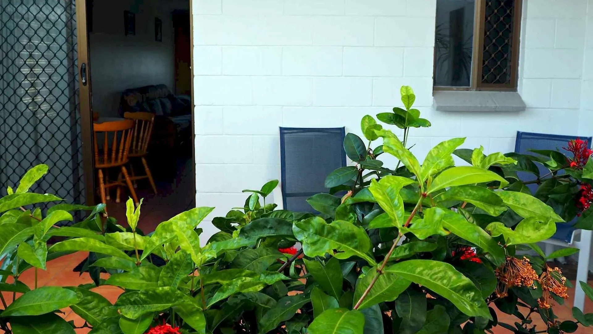 Driftwood Motel And Holiday Units Yeppoon
